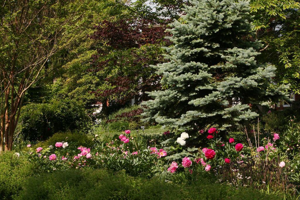 South Court Inn Luray Zewnętrze zdjęcie